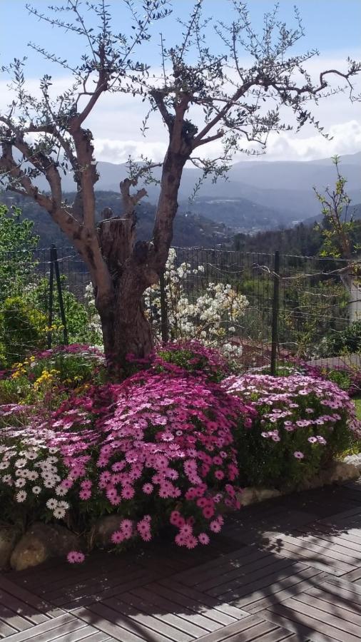 Studio le romantique à 20 kms de Nice Bendéjun Extérieur photo
