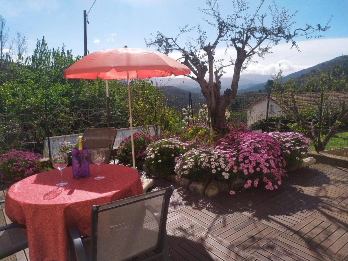 Studio le romantique à 20 kms de Nice Bendéjun Extérieur photo